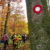 EUMA i ERA objavile priručnik o signalizaciji na planinarskim putovima u Europi